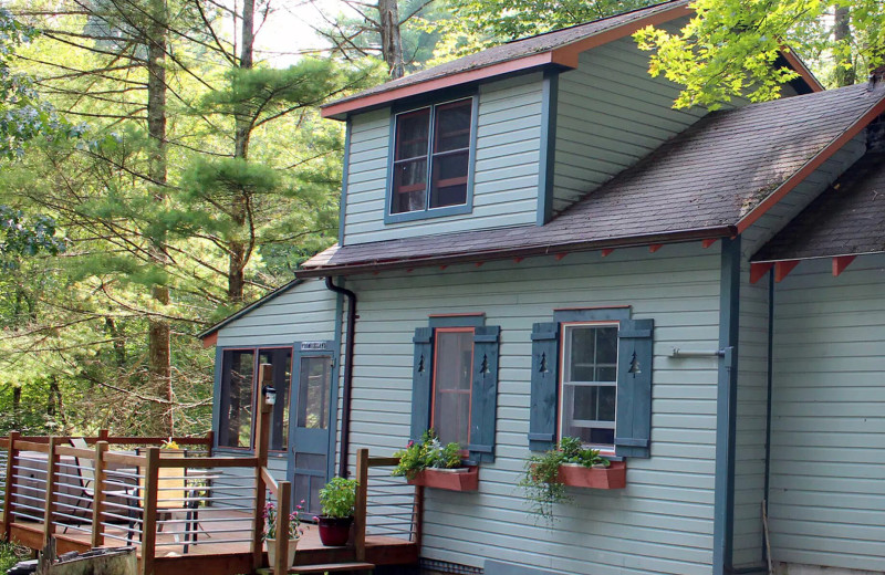 Cabin exterior at Sylvania Tree Farm, Country Lodging.