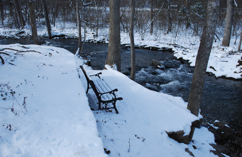 Stream at Big Pine Trout Farm.