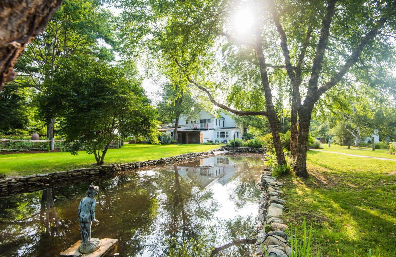 Pond near Four Columns Inn.