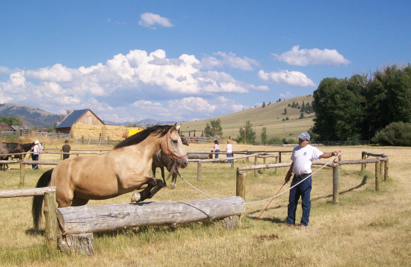 Rocking Z Ranch (Wolf Creek, MT) Resort Reviews
