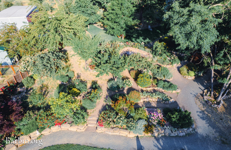 Garden at Harbin Hot Springs.