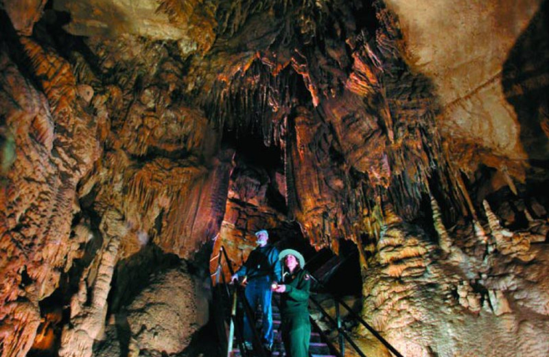 Mammoth Cave at Mammoth Cave Hotel.