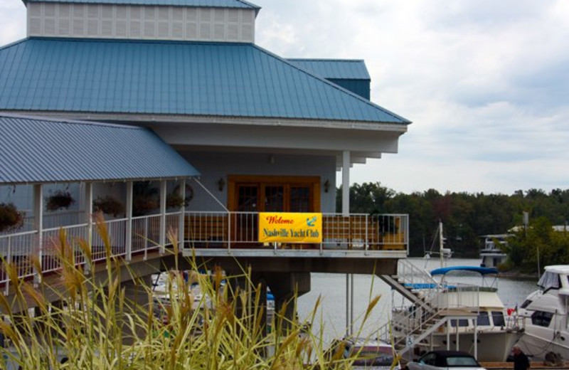 Marina at Green Turtle Bay Resort & Marina.