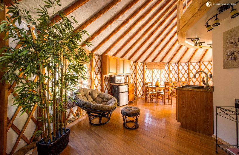 Yurt interior at Strawhouse Resorts.