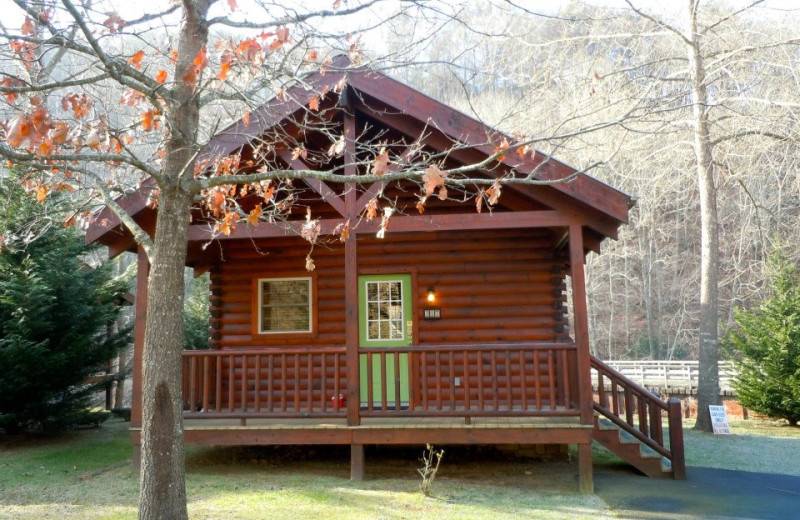 Three's A Crowd cabin exterior at New River Trail Cabins.