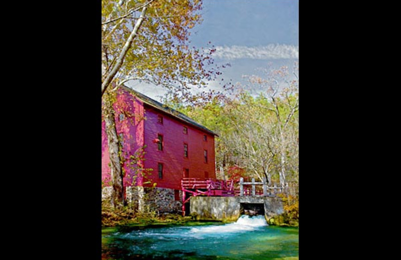 On the river at Shady Lane Cabins & Motel.