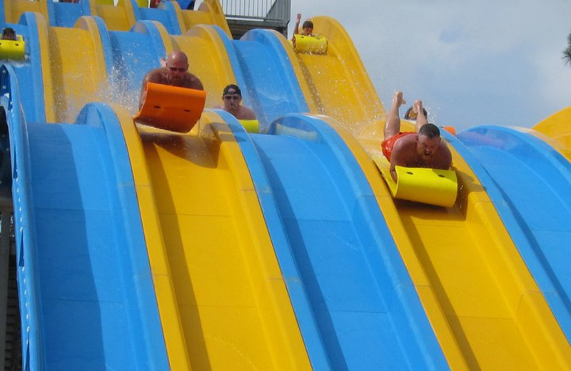Water Park at Lone Star Yogi