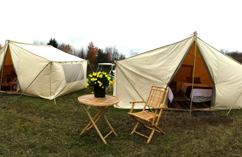 Tents at The Woods At Bear Creek Glamping Resort.