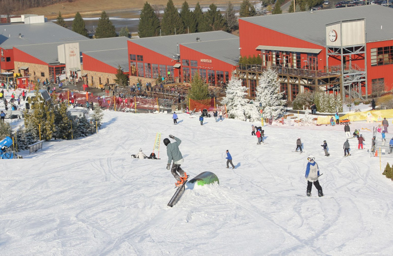 bear creek mountain resort