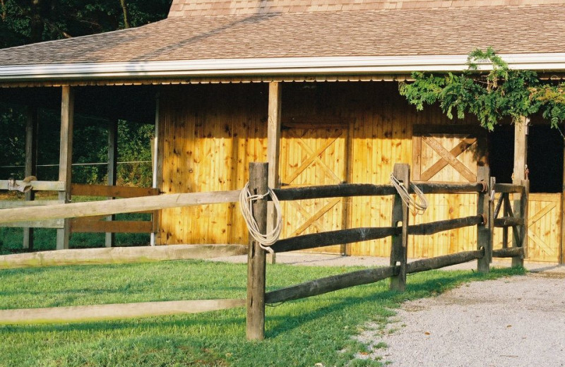 Exterior view of Guggisberg Swiss Inn/Amish Country Riding Stables.