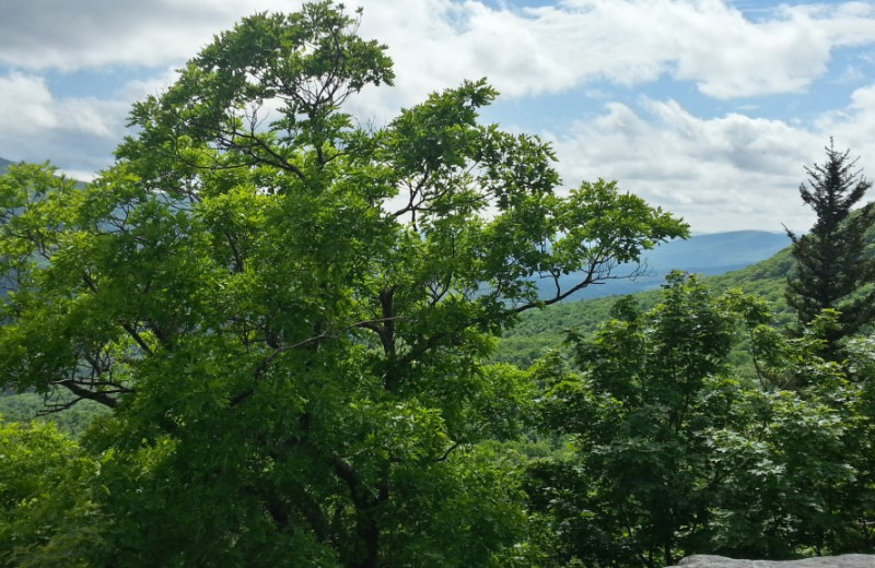 Scenic view at The Thompson House.