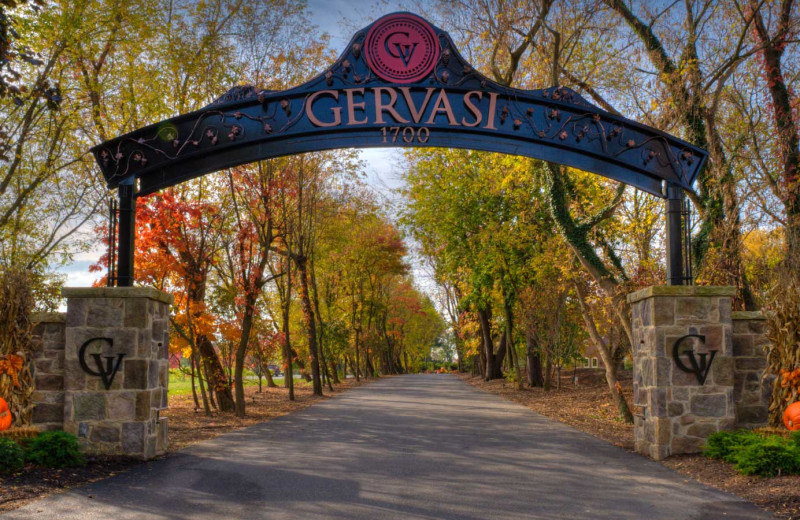 Fall at Gervasi Vineyard.