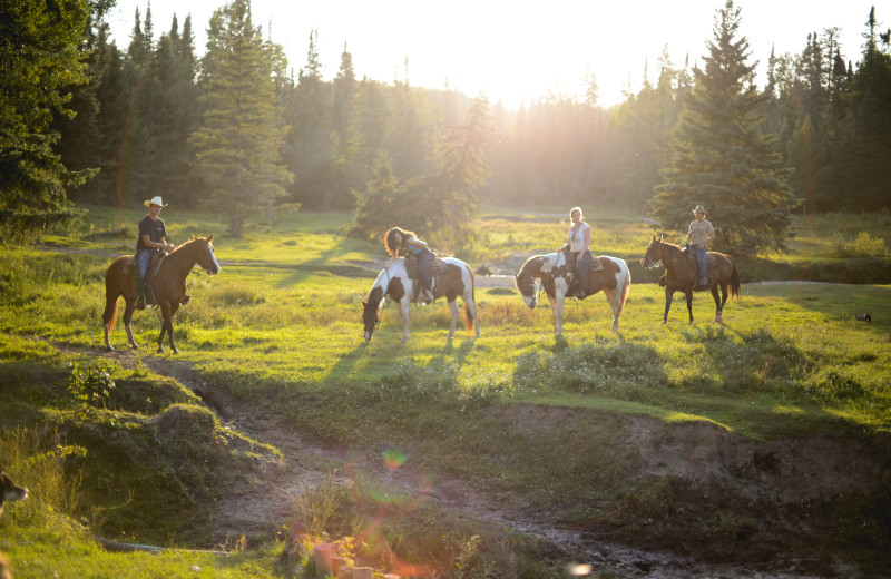 Horseback riding at Falcon Beach Ranch.