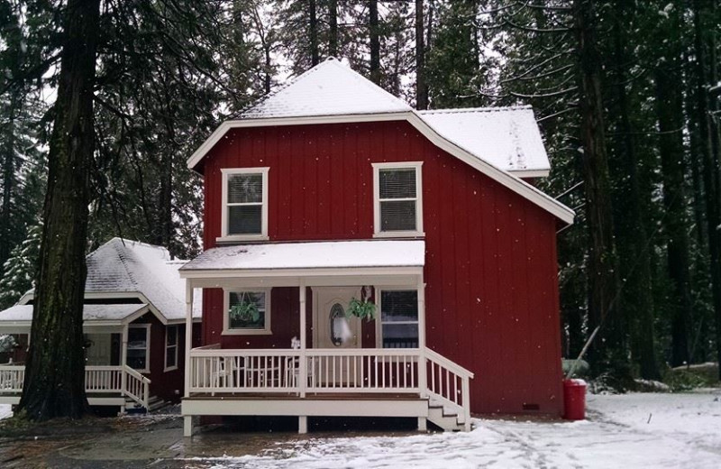 Cabin exterior at Long Barn Lodge.