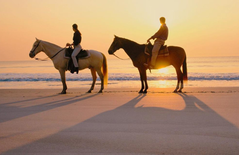 Beach horseback riding at Padre Getaways.