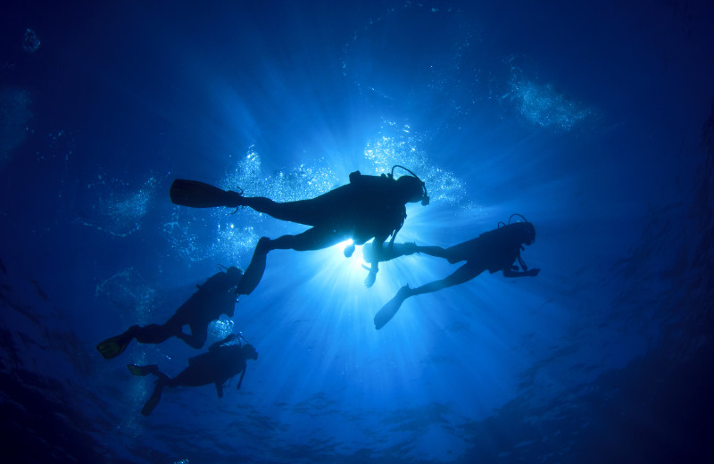 Diving near The South Winds.