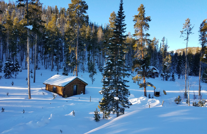 Cabins at Old Glendevey Ranch.