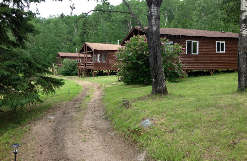 Cabins at Maynard Lake Lodge and Outpost.