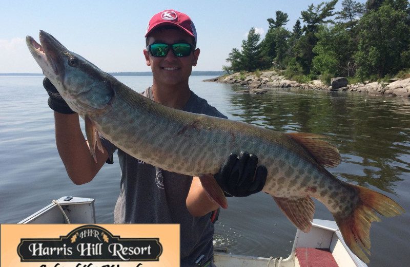 Fishing at Harris Hill Resort.