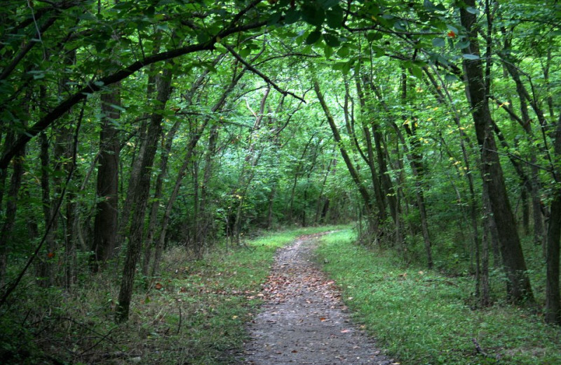 Hiking trail at The Woods At Bear Creek Glamping Resort.