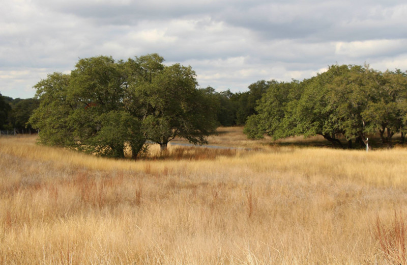 Hill country at Blair House Inn.