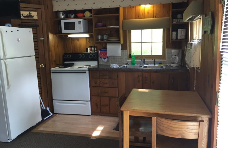 Cabin kitchen at Blackduck Lodge & Resort.