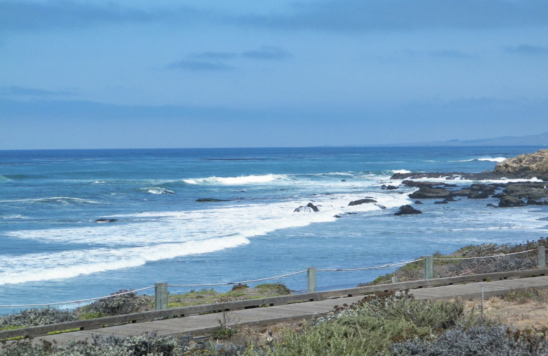 The beach at Sea Otter Inn.