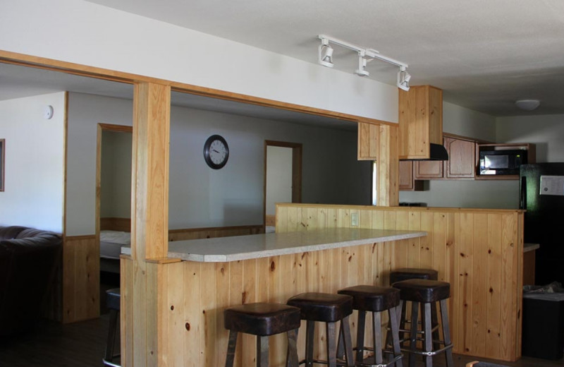 Cabin kitchen at Ballard's Resort.