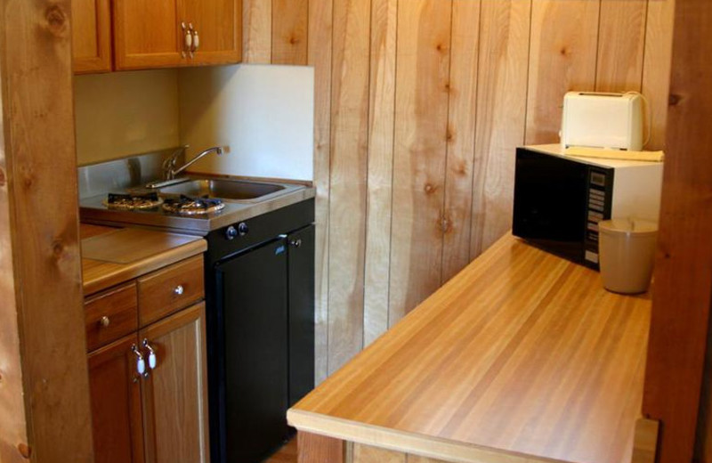 Lodge Kitchenette at West Winds Lodge