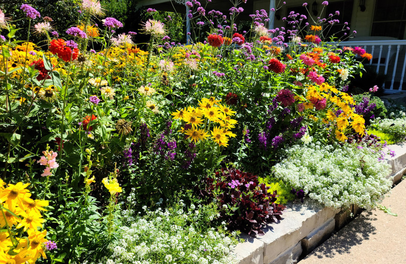 Garden at High Point Inn.