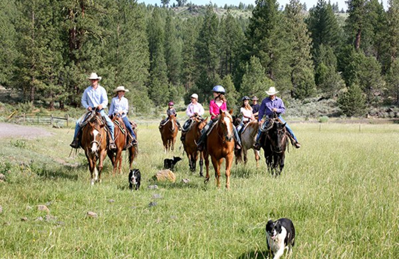 Horseback riding at Aspen Ridge Resort.