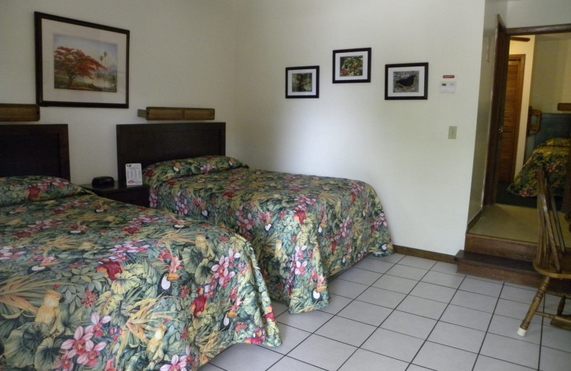 Guest room at Rock Reef Resort.
