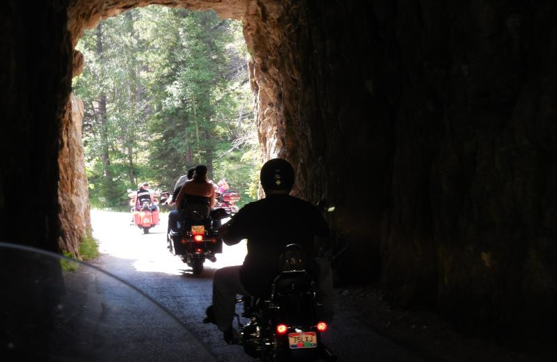 Biking at Black Hills Cabins & Motel at Quail's Crossing.