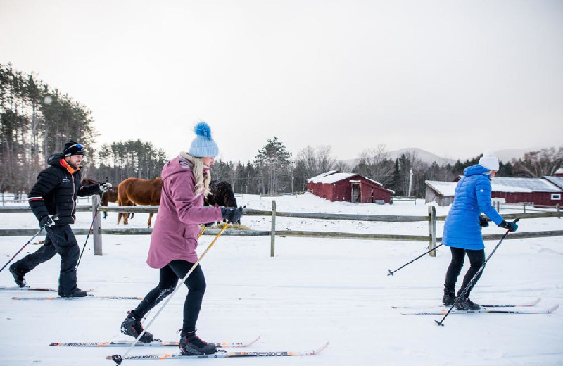 Cross country ski at Edson Hill.