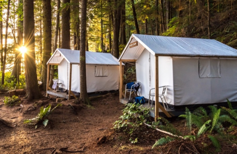 Tents at Orca Camp.