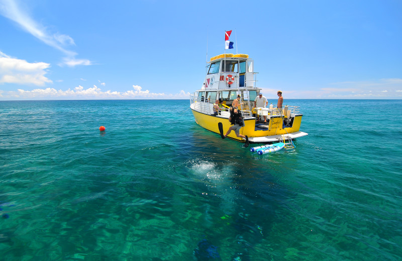 Diving at Hawks Cay Resort.