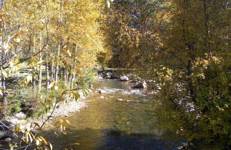 The river at Riverview Pines.