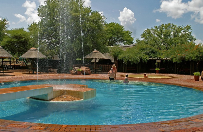 Manyane Resort pool at Golden Leopard Resorts.