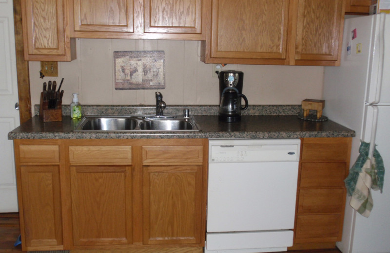 Cabin kitchen at Golden Rule Resort.