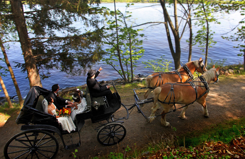 Carriage ride at Fairmont Le Chateau Montebello.