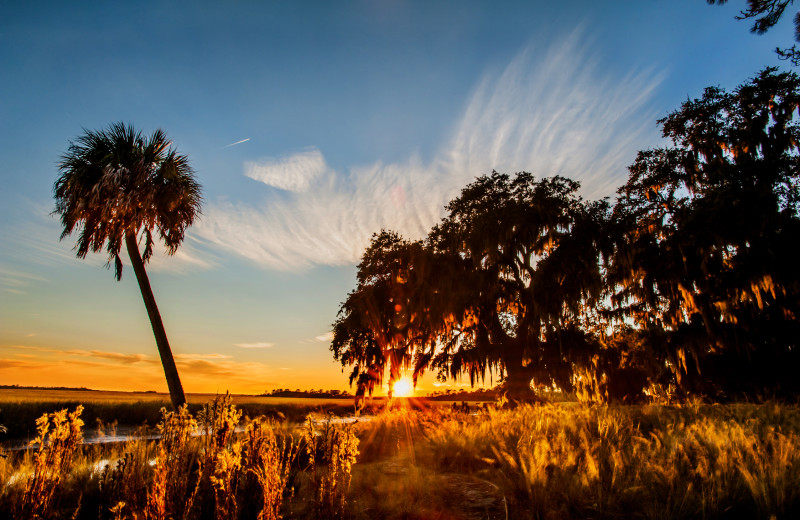 Island view at Lodge on Little St. Simons Island.