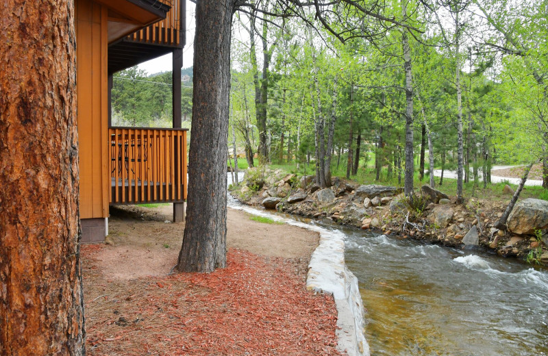 River view at Murphy's River Lodge.