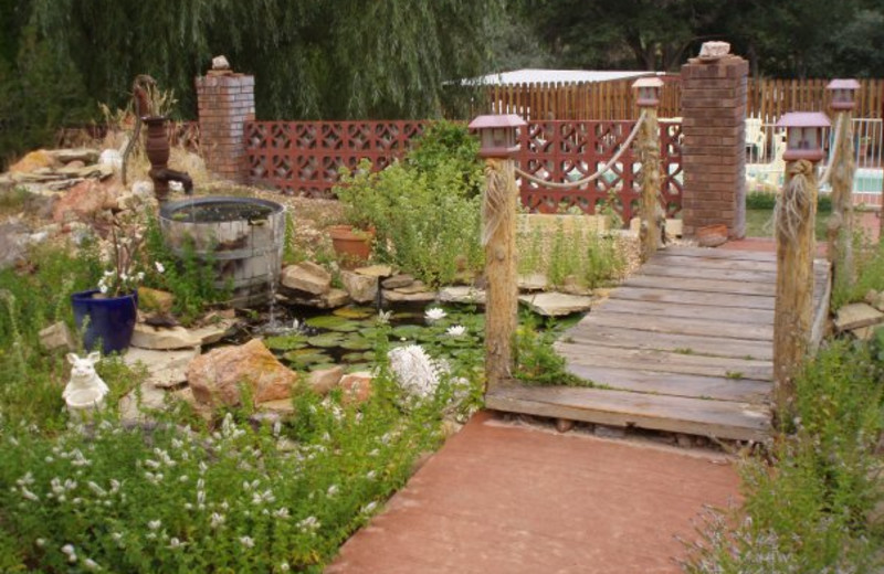 Outdoor garden at Arrowhead Bed & Breakfast.