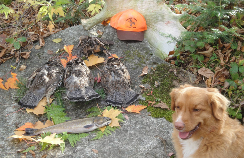 Hunting at Grant's Camps.