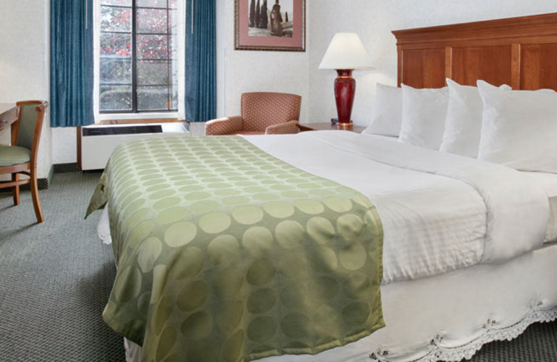 Guest Room at Ramada Mountain View