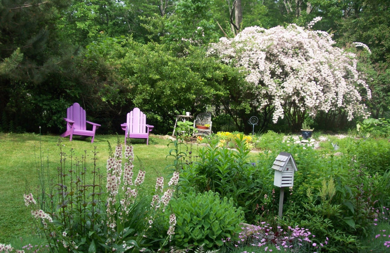 Relax in the garden at The Inns at Blackberry Common.
