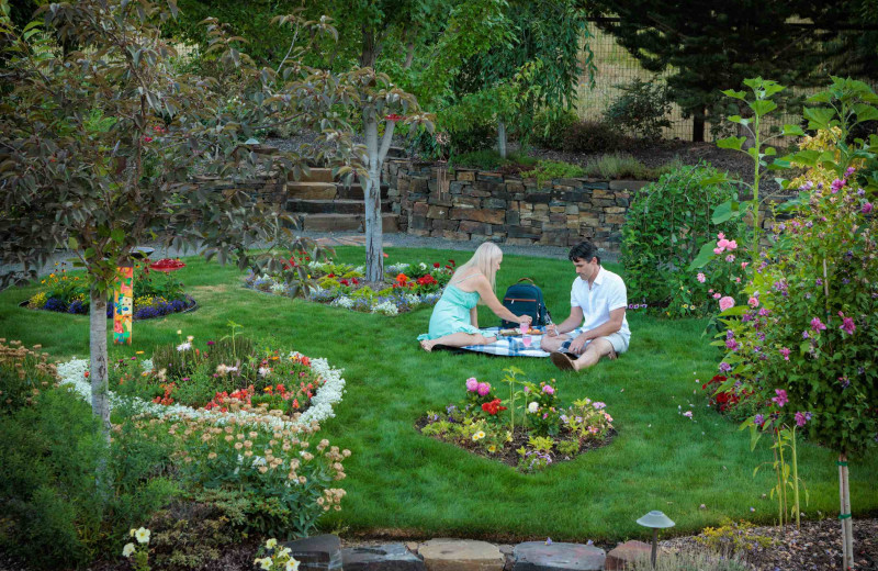 Garden at Country Willows B