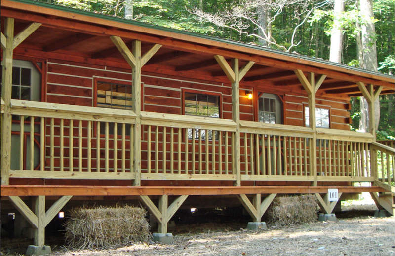 Group cabin at ACE Adventure Resort.