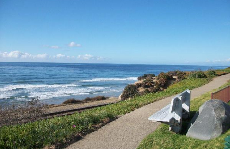 Coastline at Wave Crest.