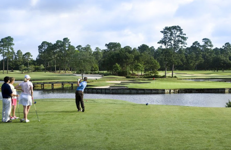 Golf course near Paradise Resort.